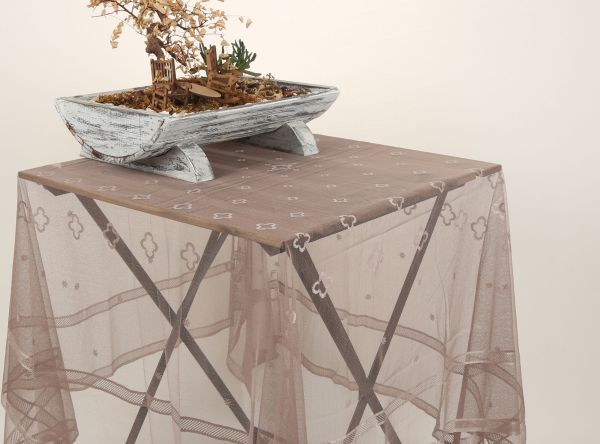 OXALIS Mbulesë Tavoline