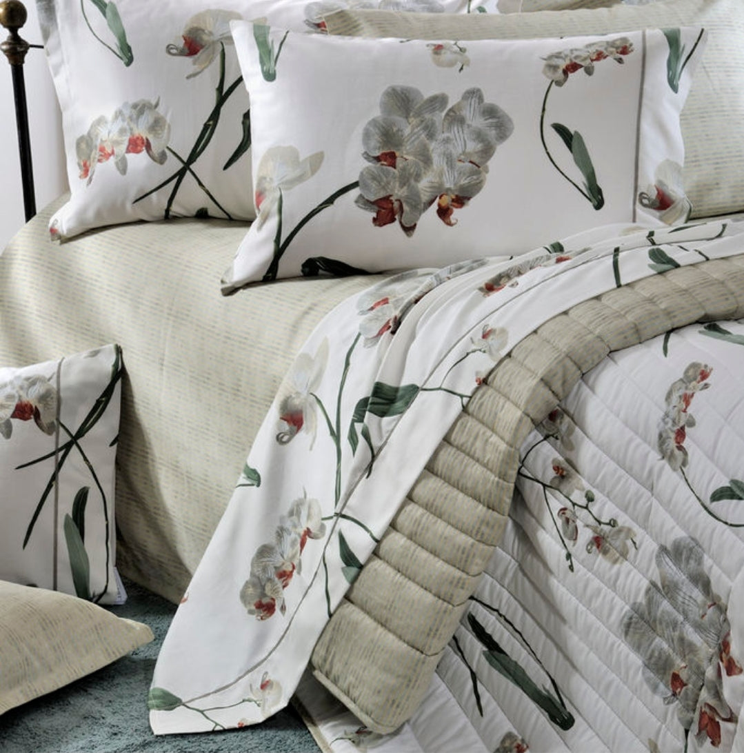 Kuvertë Dopio (Downtown)